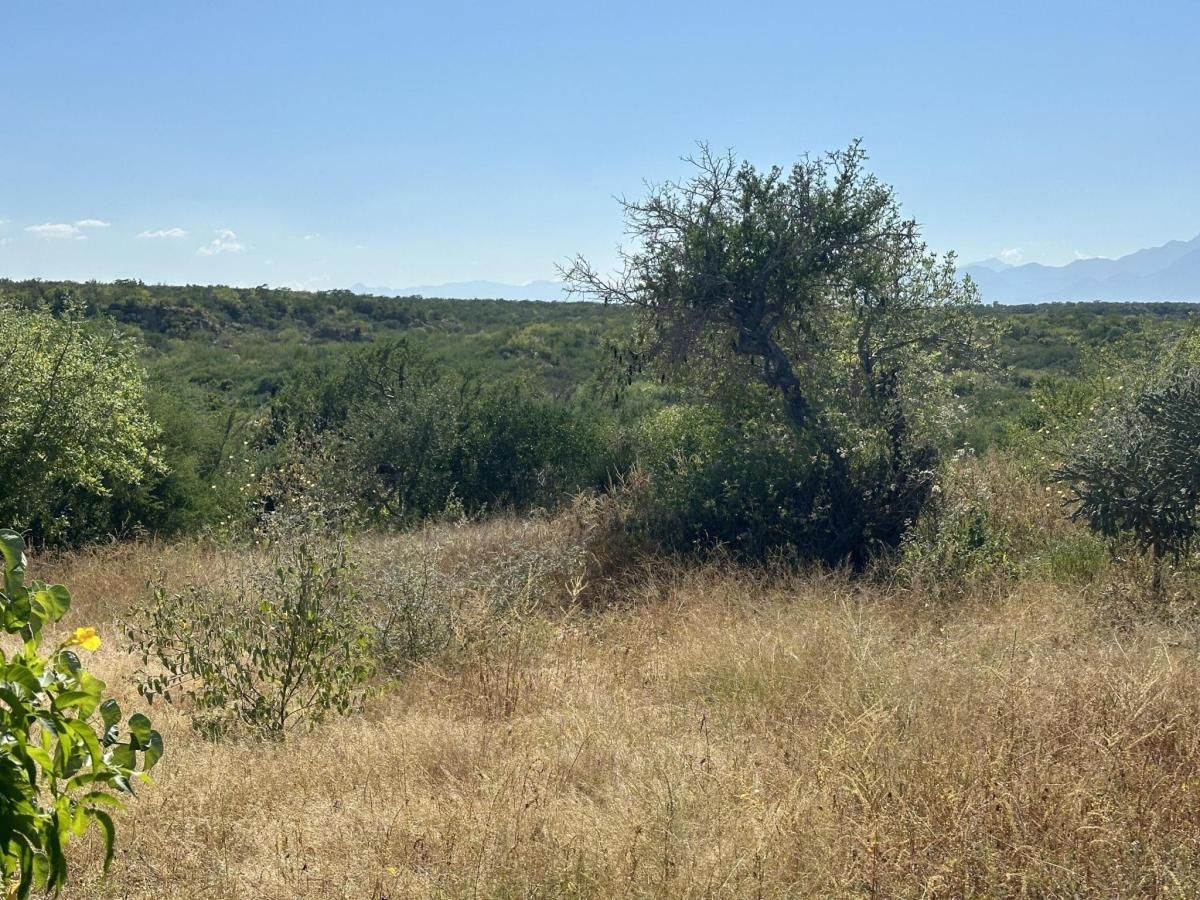 MLS #25-4942 image #0