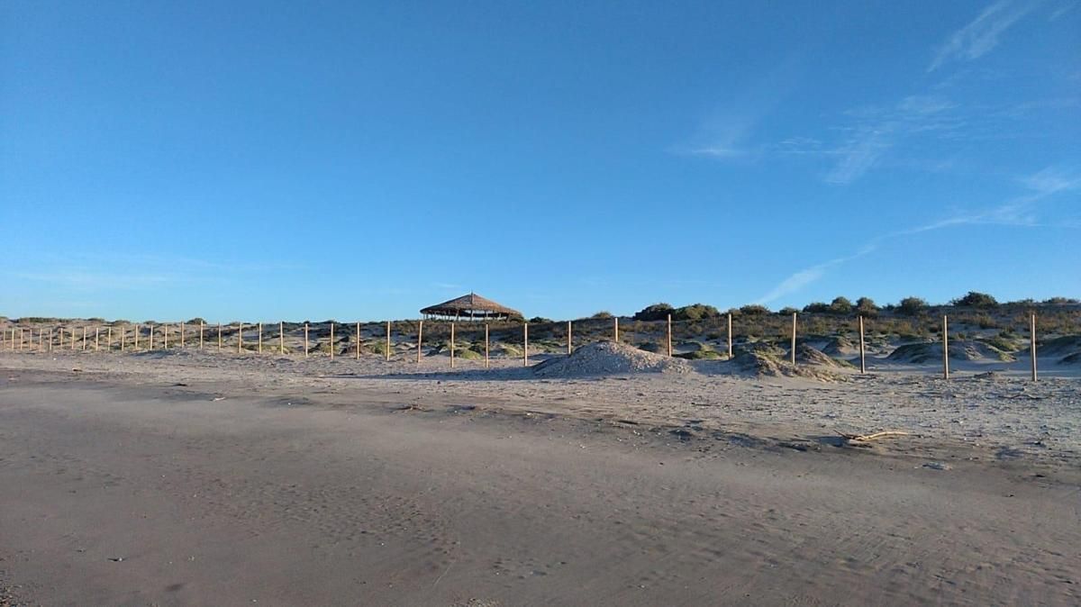 MLS #25-4953 image #0