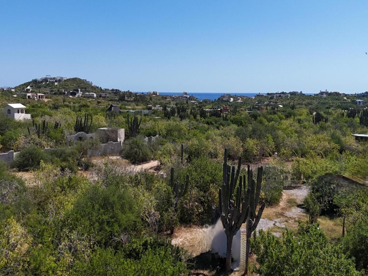 MLS #25-4960 image #0