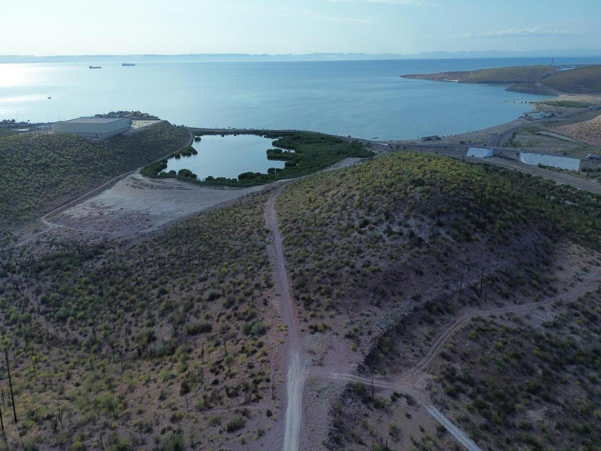 MLS #25-4992 image #0