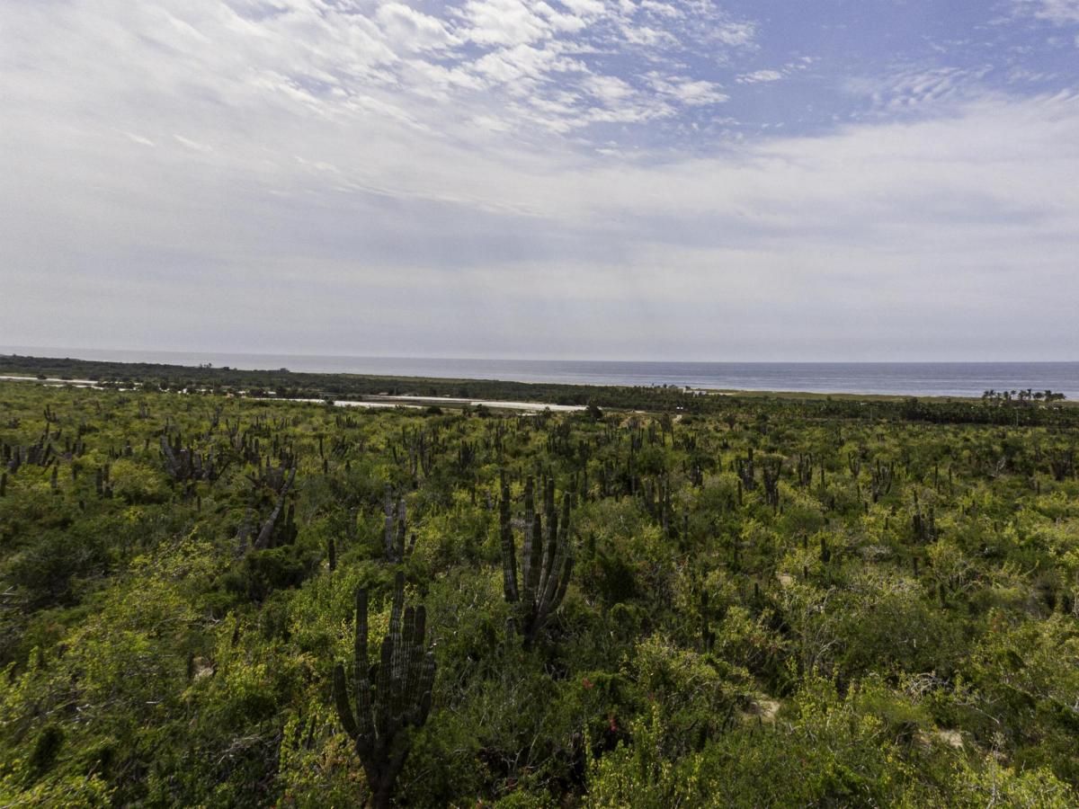 MLS #25-4999 image #0