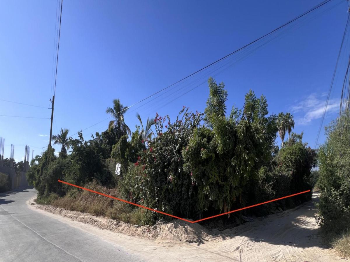 MLS #25-5092 image #0