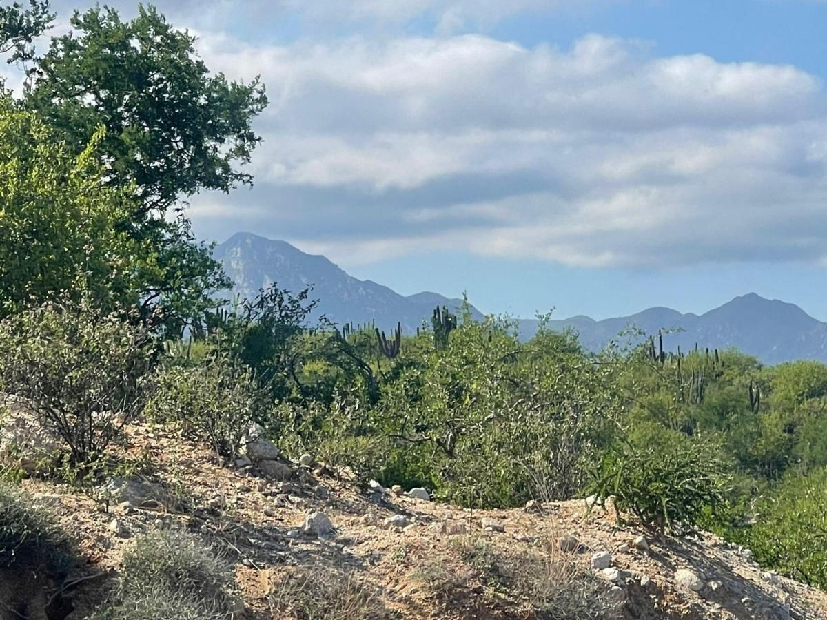 MLS #25-5110 image #0