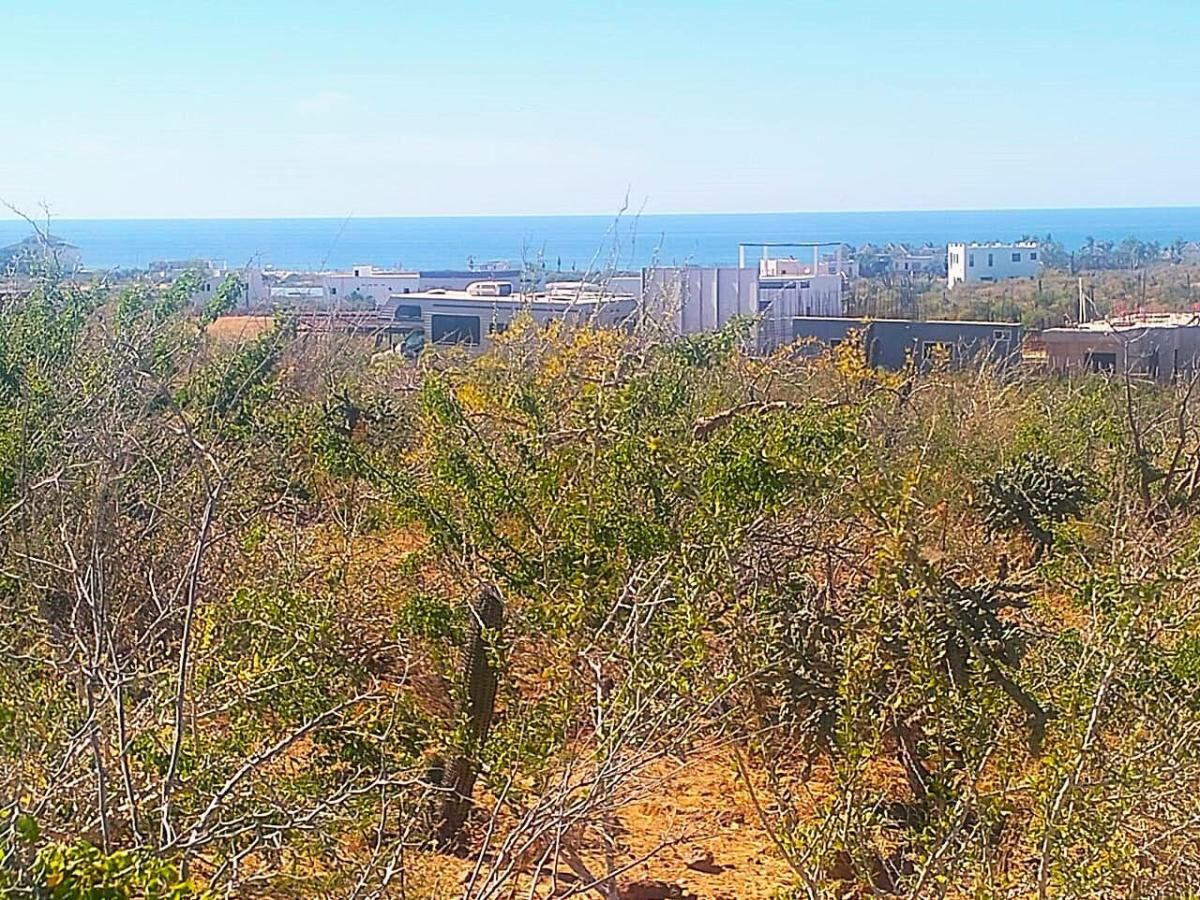 MLS #25-5179 image #0