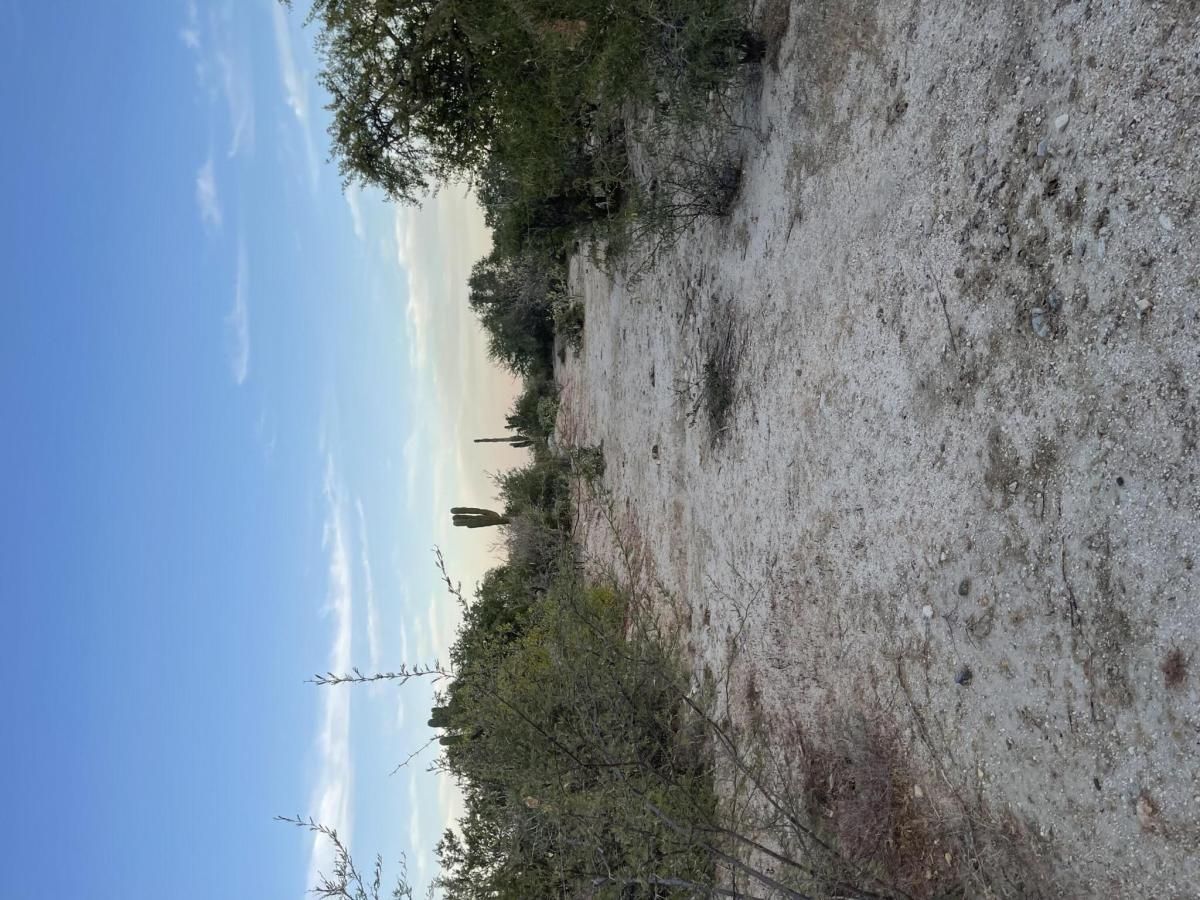 MLS #25-5237 image #0