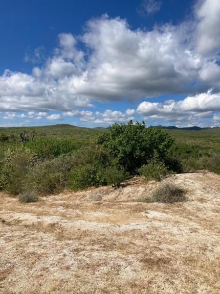 Lot 520 East Cape BCS MLS #25-5263 37 MLS #25-5263 image #0