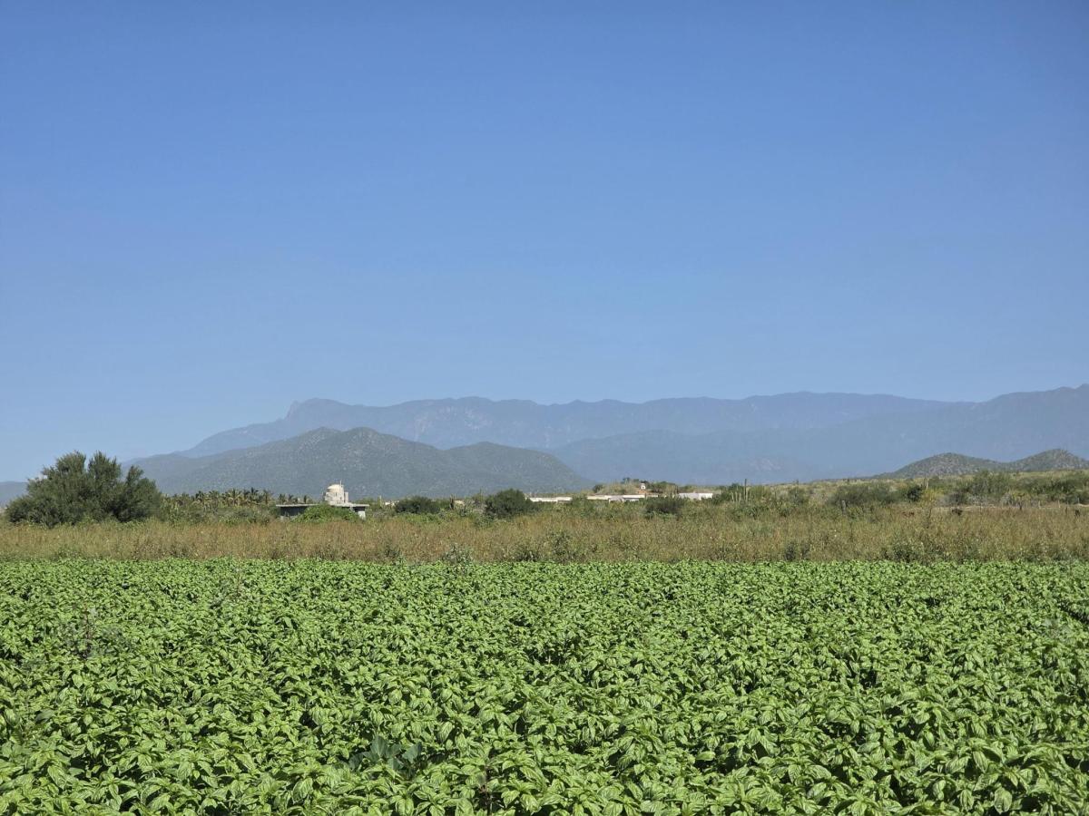 MLS #25-5269 image #0