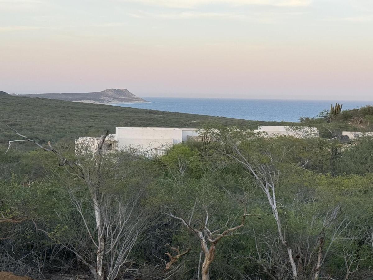 MLS #25-5272 image #0