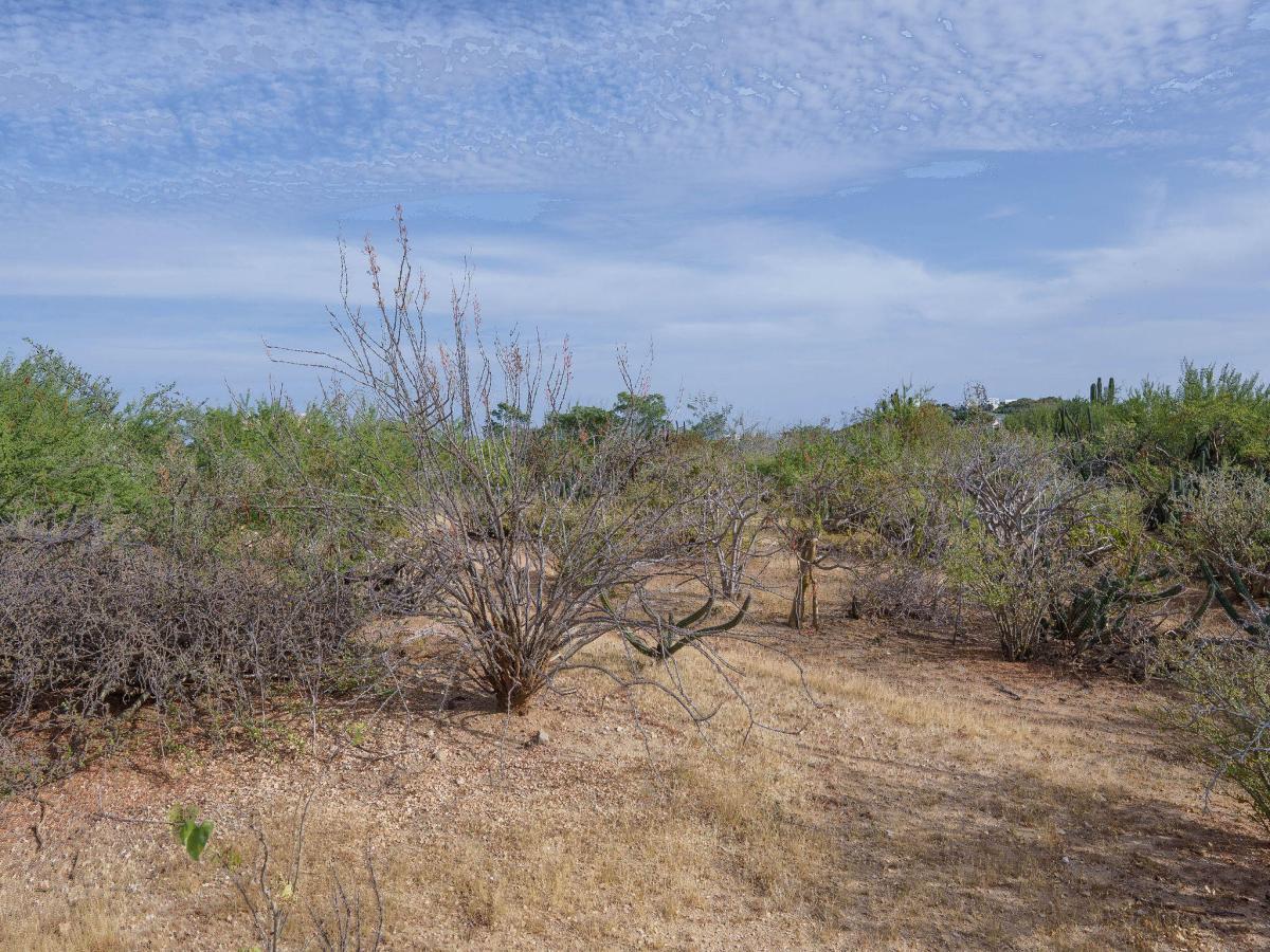 MLS #25-5500 image #0