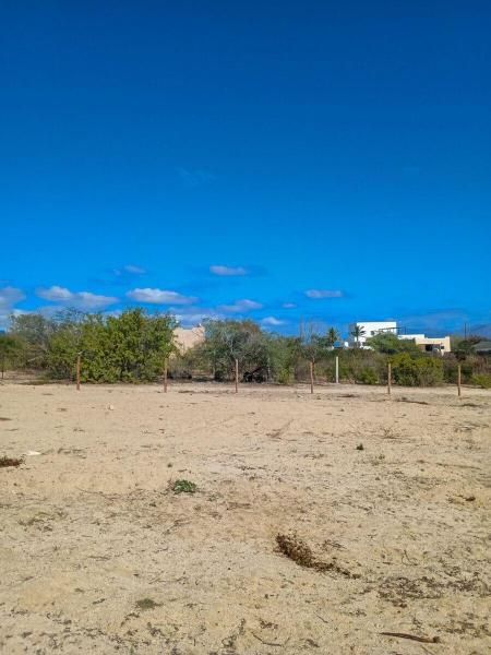 MLS #25-5607 image #0