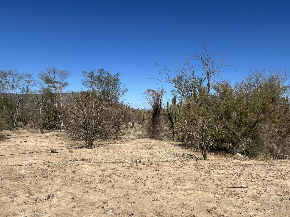 MLS #25-567 image #0