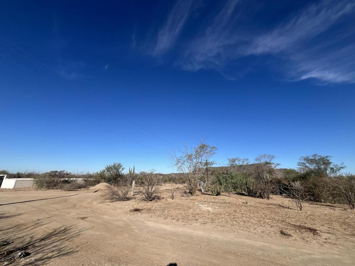 MLS #25-568 image #0