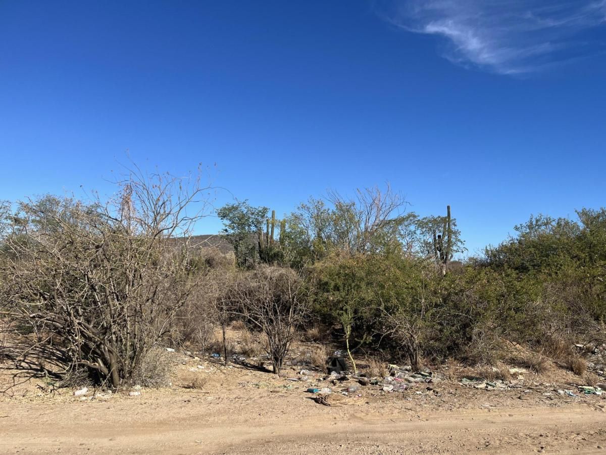 MLS #25-569 image #0