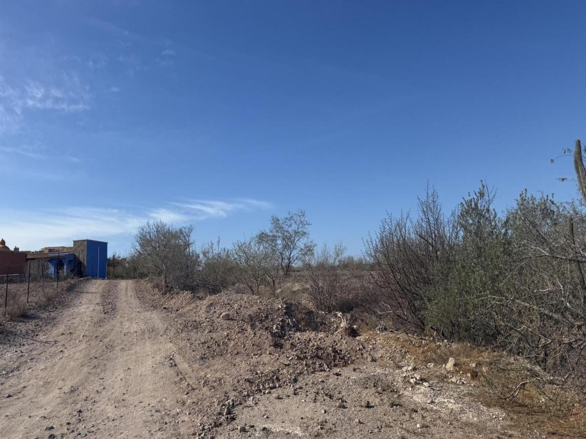 MLS #25-5740 image #0