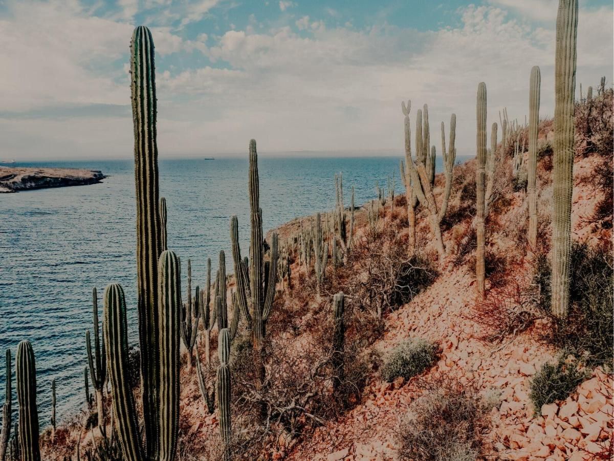 MLS #25-5798 image #0