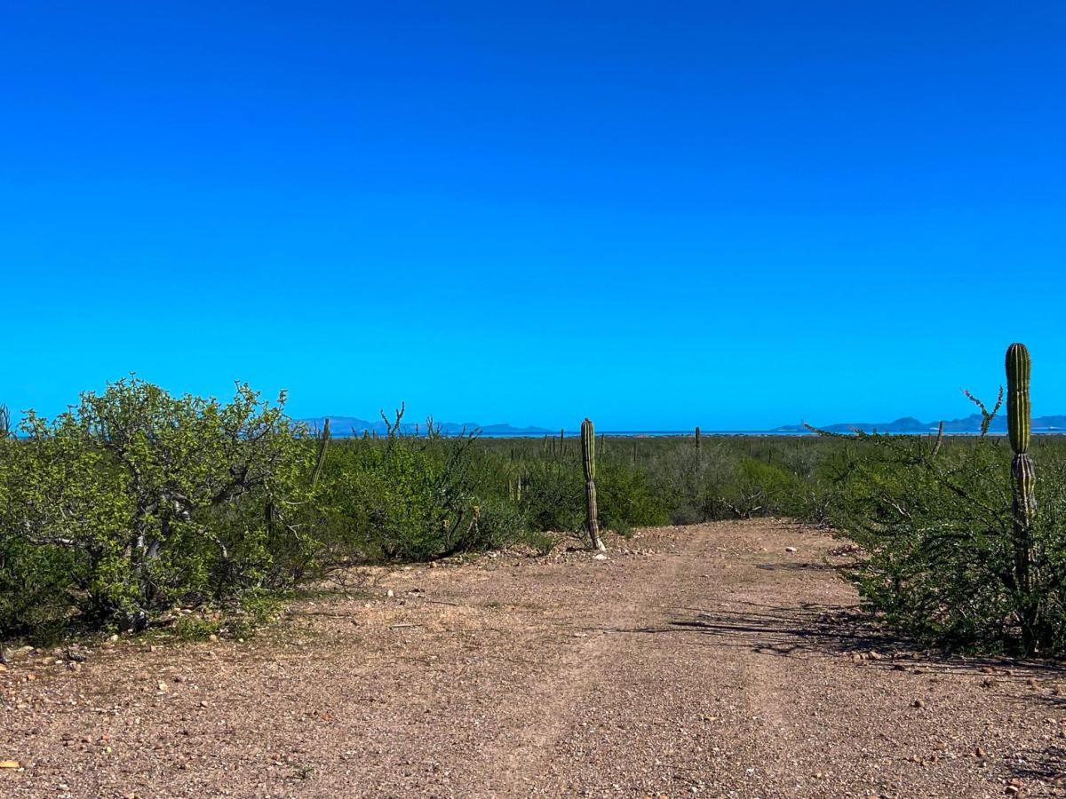 MLS #25-5835 image #0