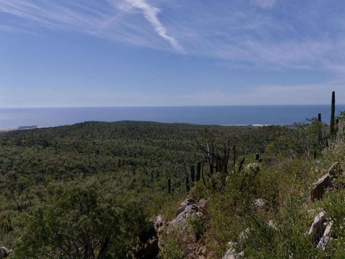 MLS #25-5871 image #0