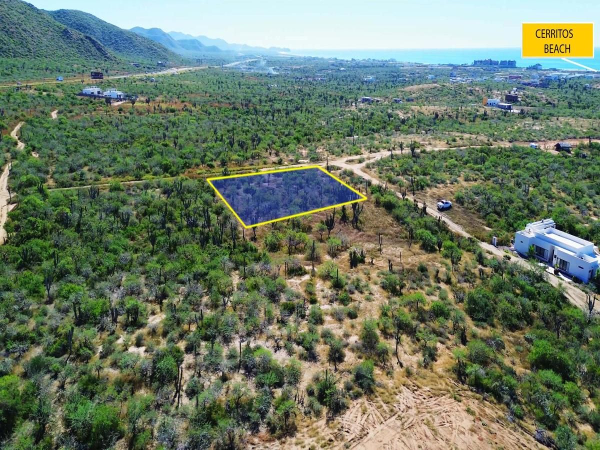 MLS #25-5890 image #0