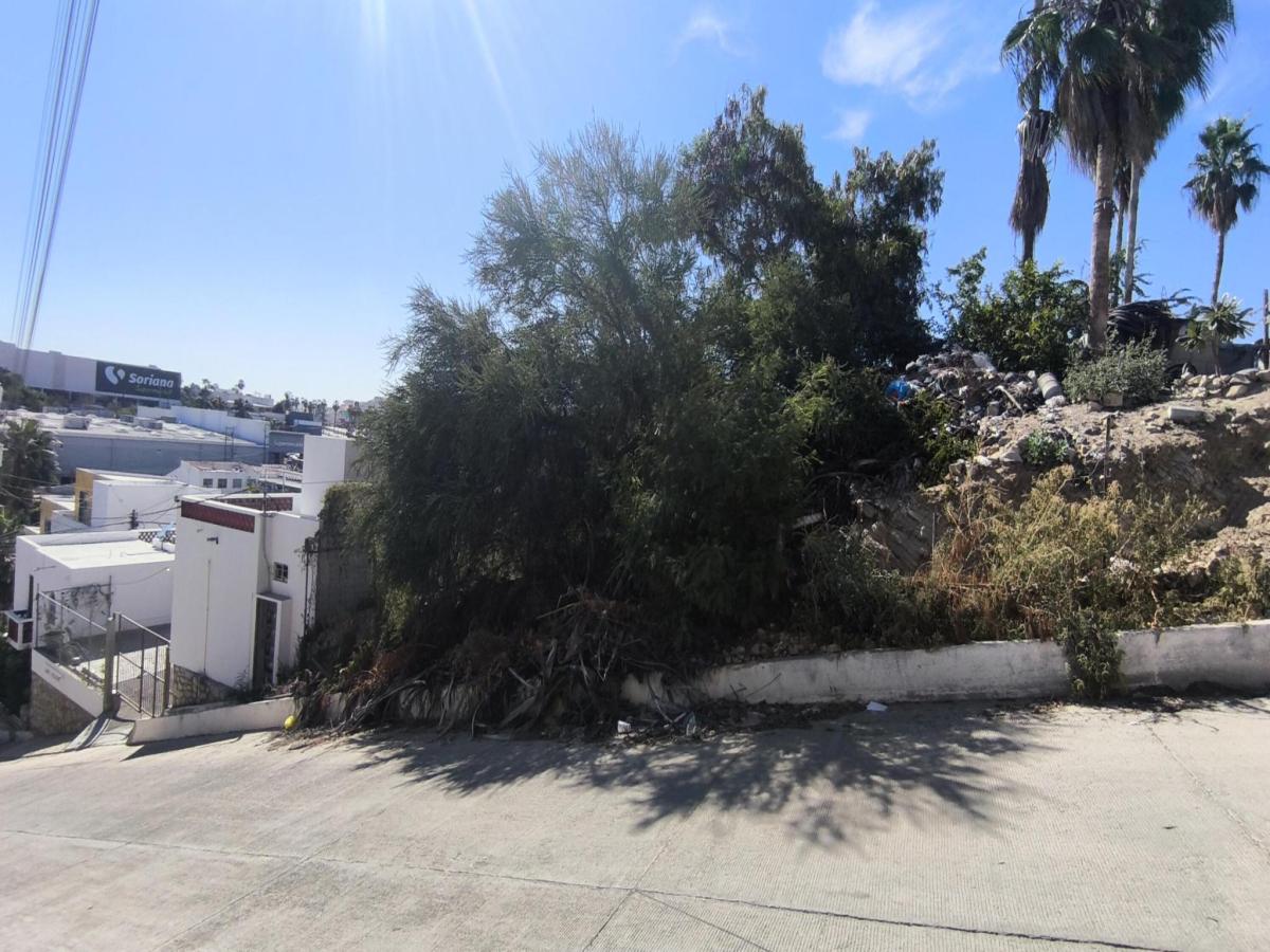 MLS #25-5900 image #0