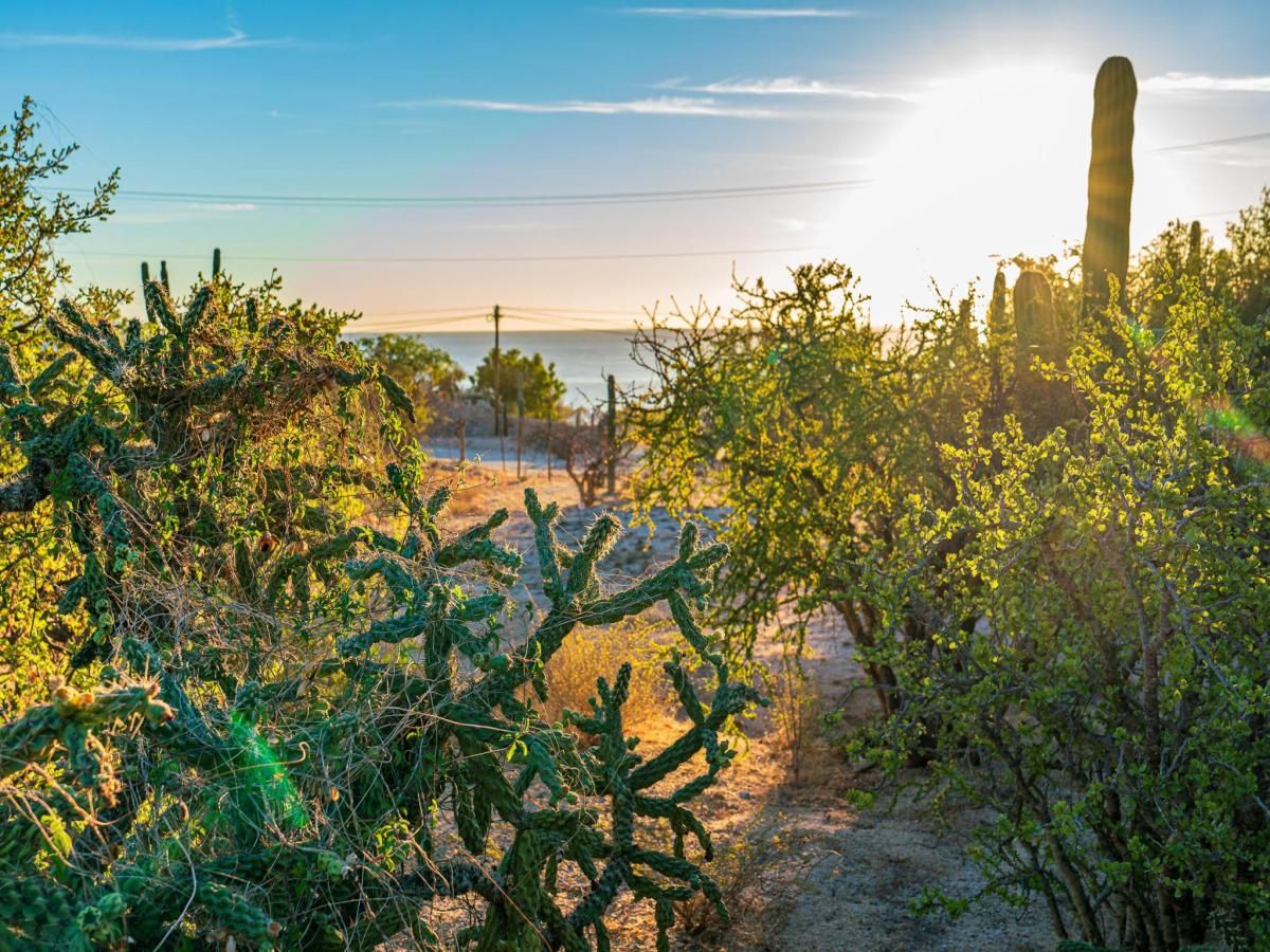 MLS #25-5915 image #0