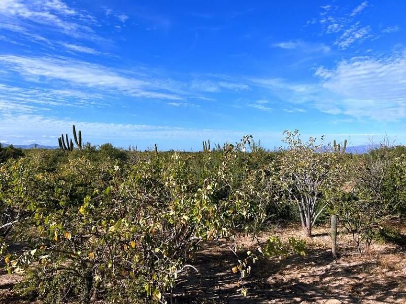 MLS #25-5935 image #0