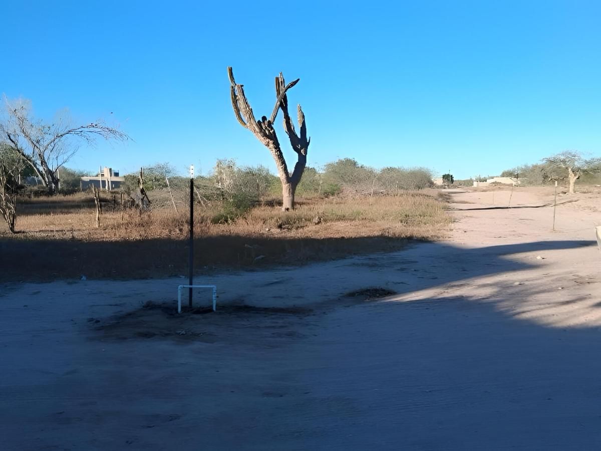 MLS #25-5942 image #0