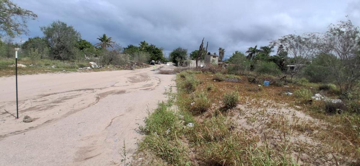 MLS #25-5942 image #0