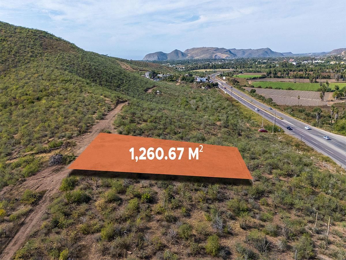 MLS #25-6021 image #0