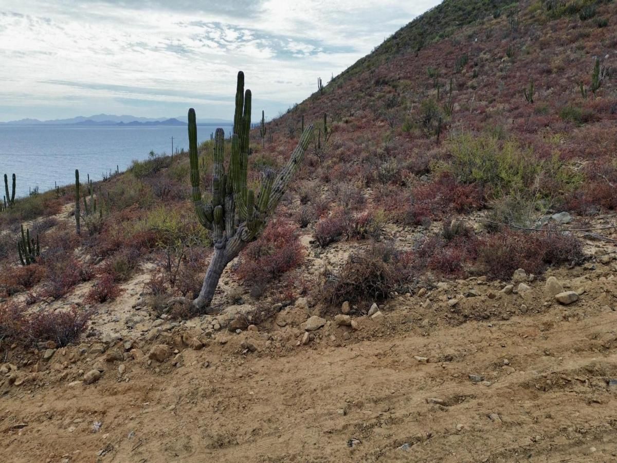 MLS #25-724 image #0