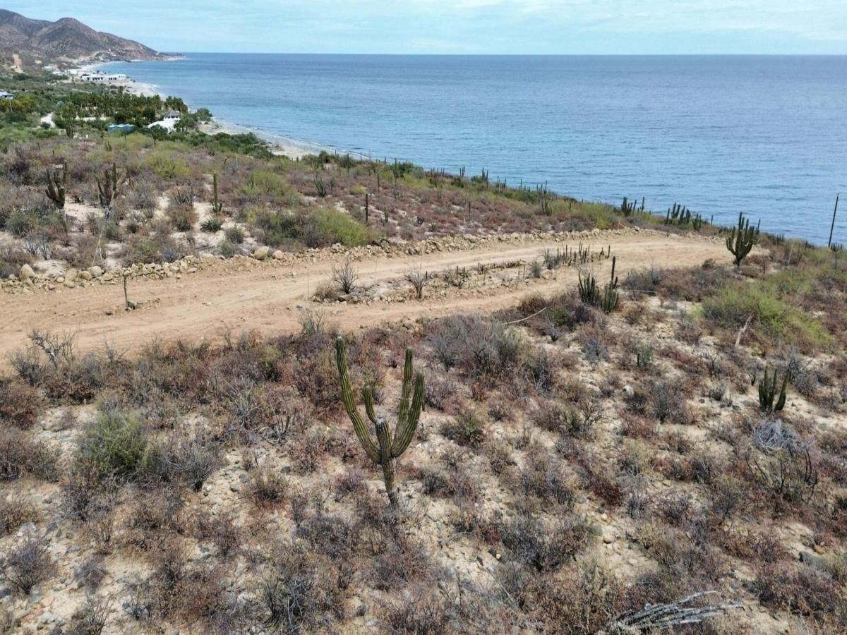 MLS #25-737 image #0