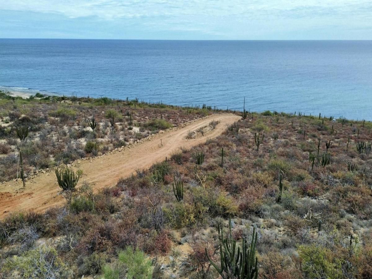 MLS #25-740 image #0