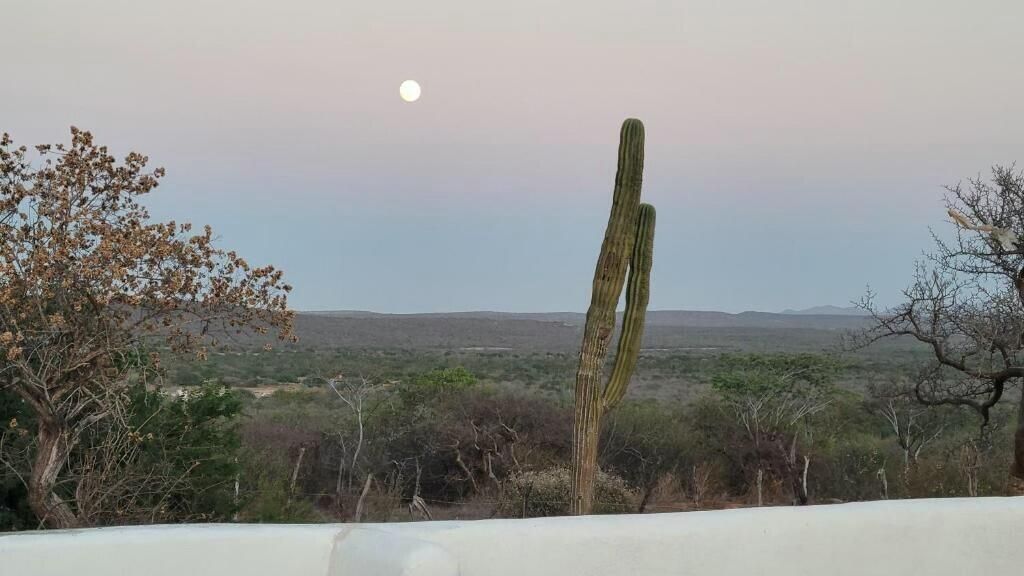 MLS #25-767 image #0