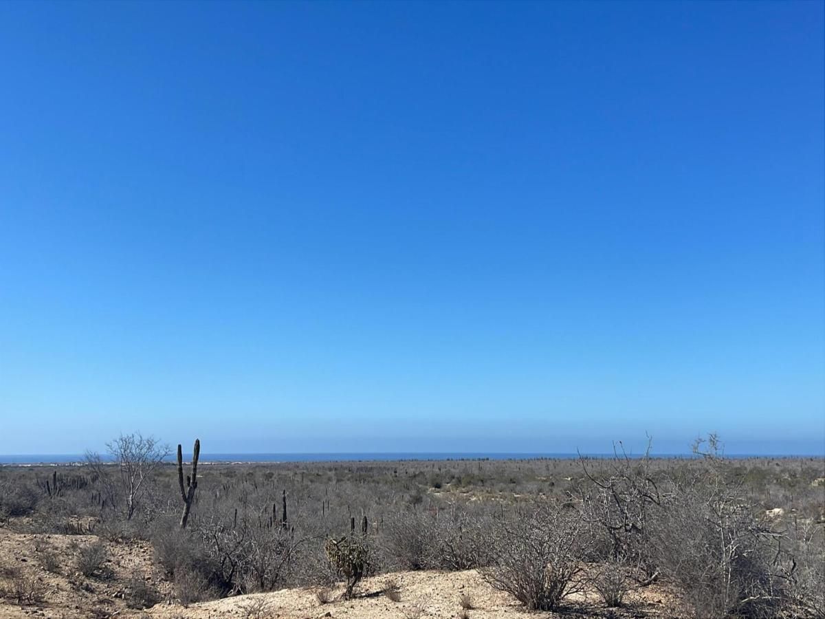 MLS #25-969 image #0