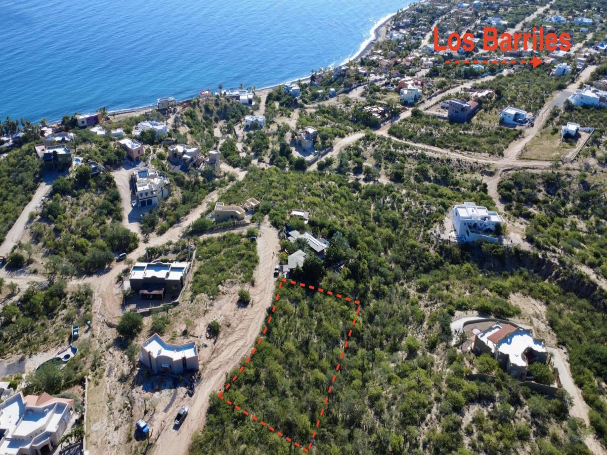 MLS #25-974 image #0