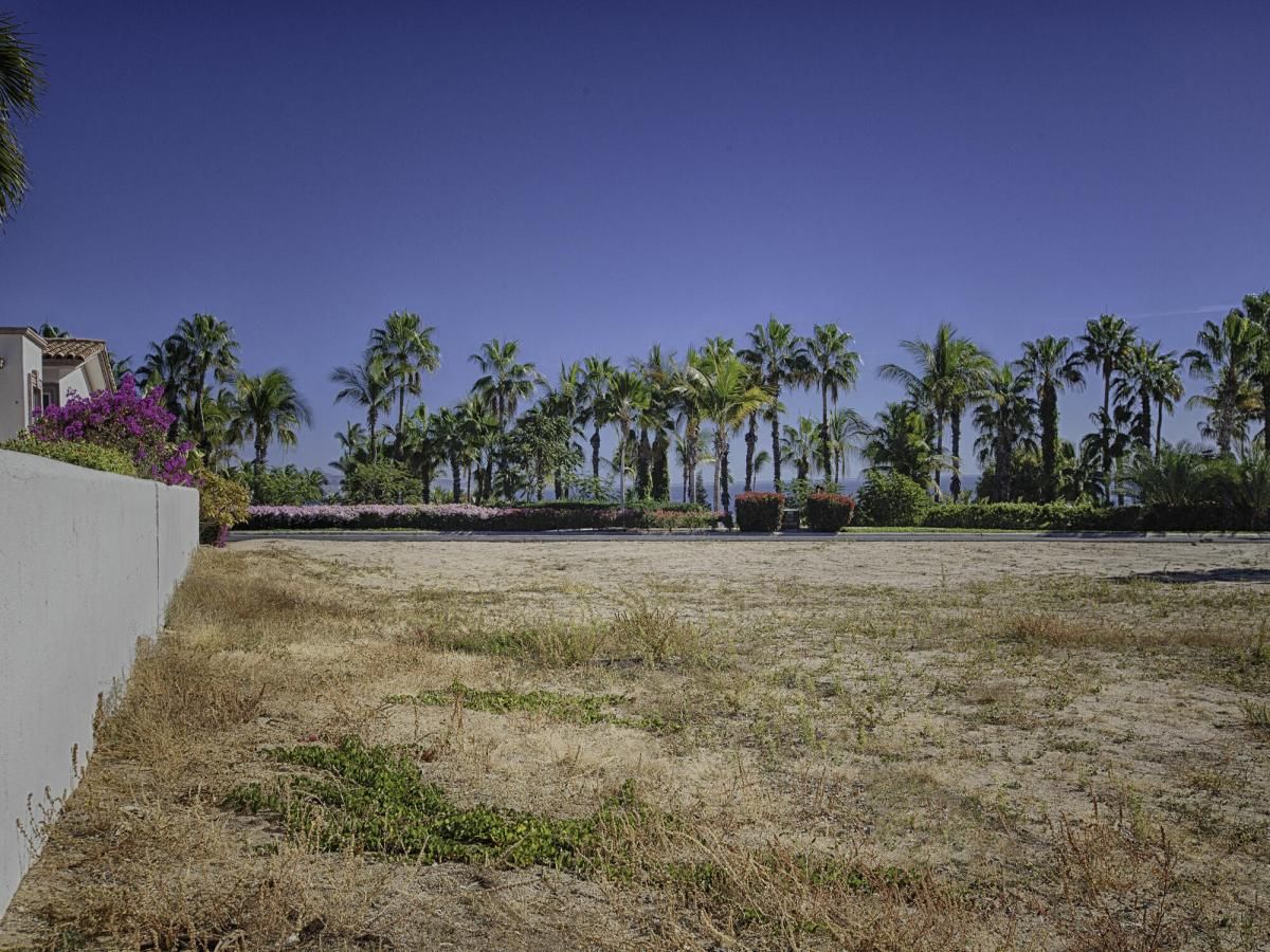 MLS #26-1052 image #0