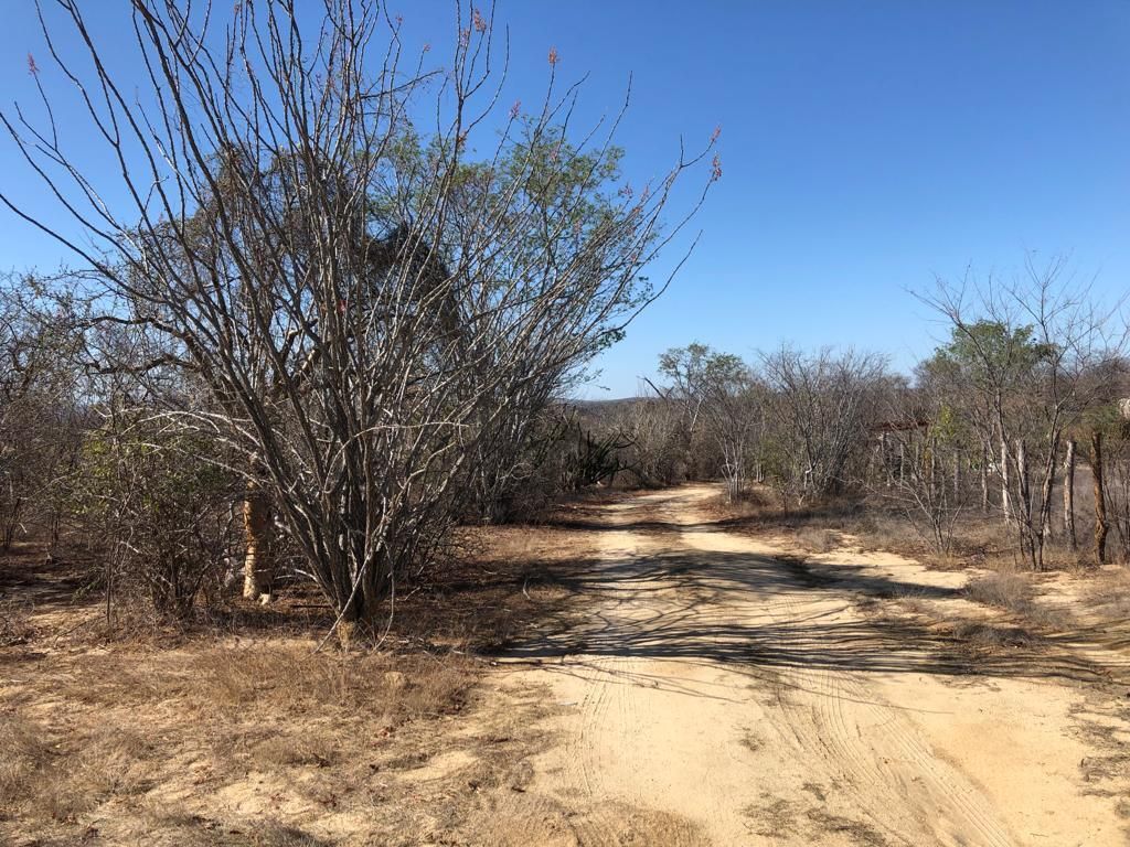 MLS #26-1126 image #0