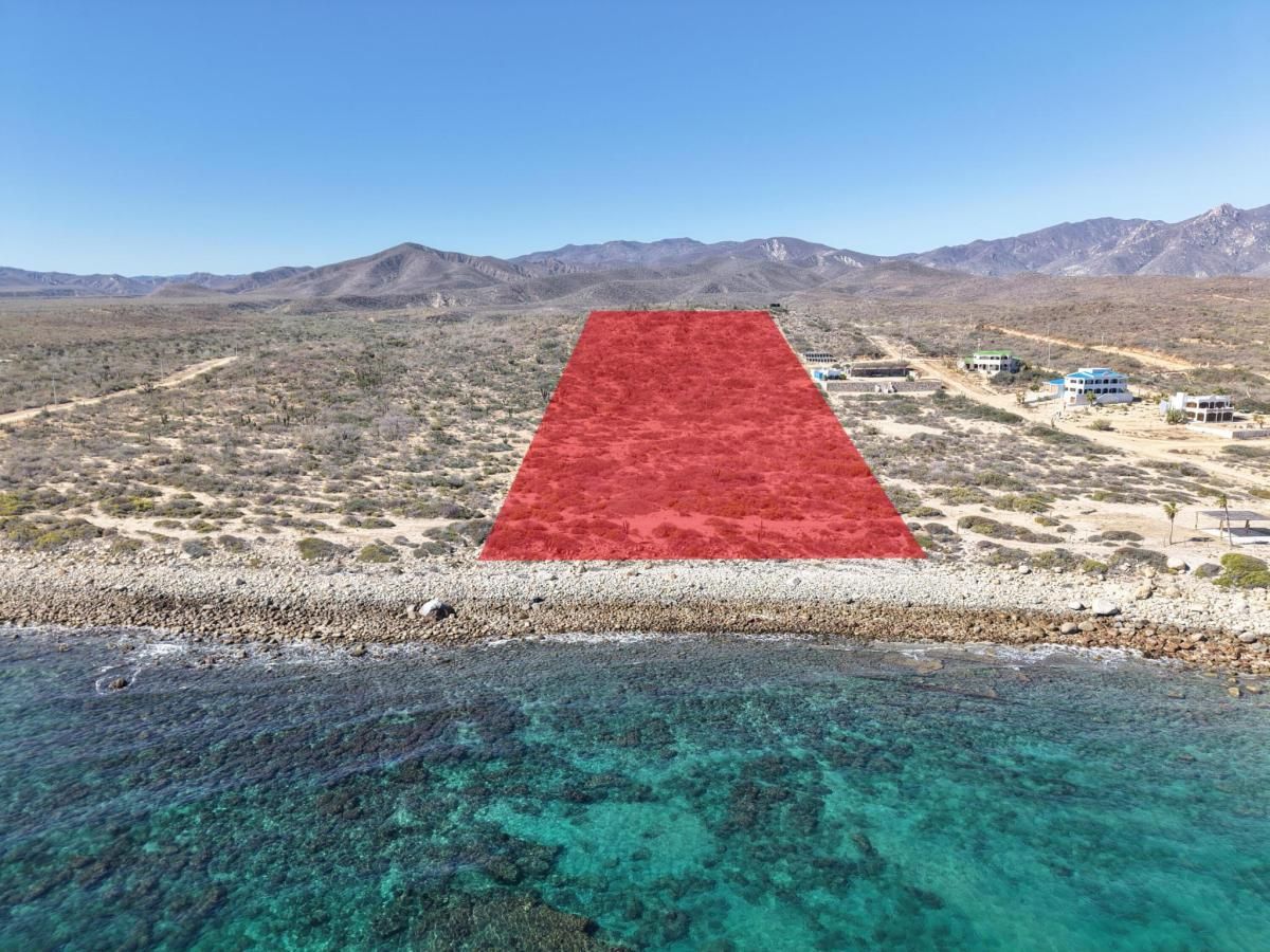 MLS #26-1137 image #0