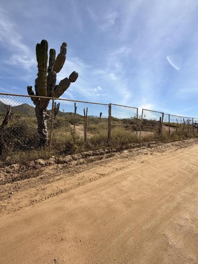 MLS #26-1156 image #0