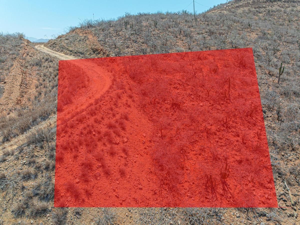 MLS #26-1168 image #0