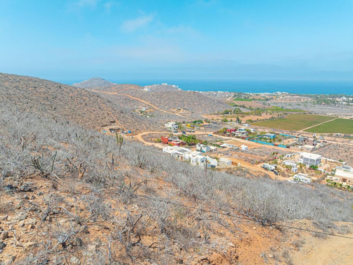 MLS #26-1168 image #0