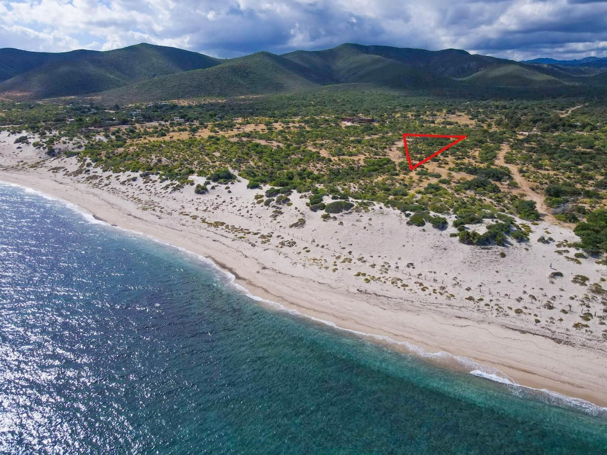 MLS #26-1178 image #0