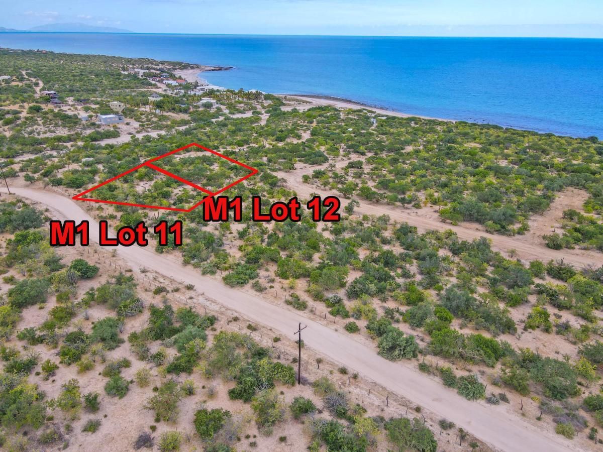 MLS #26-1184 image #0