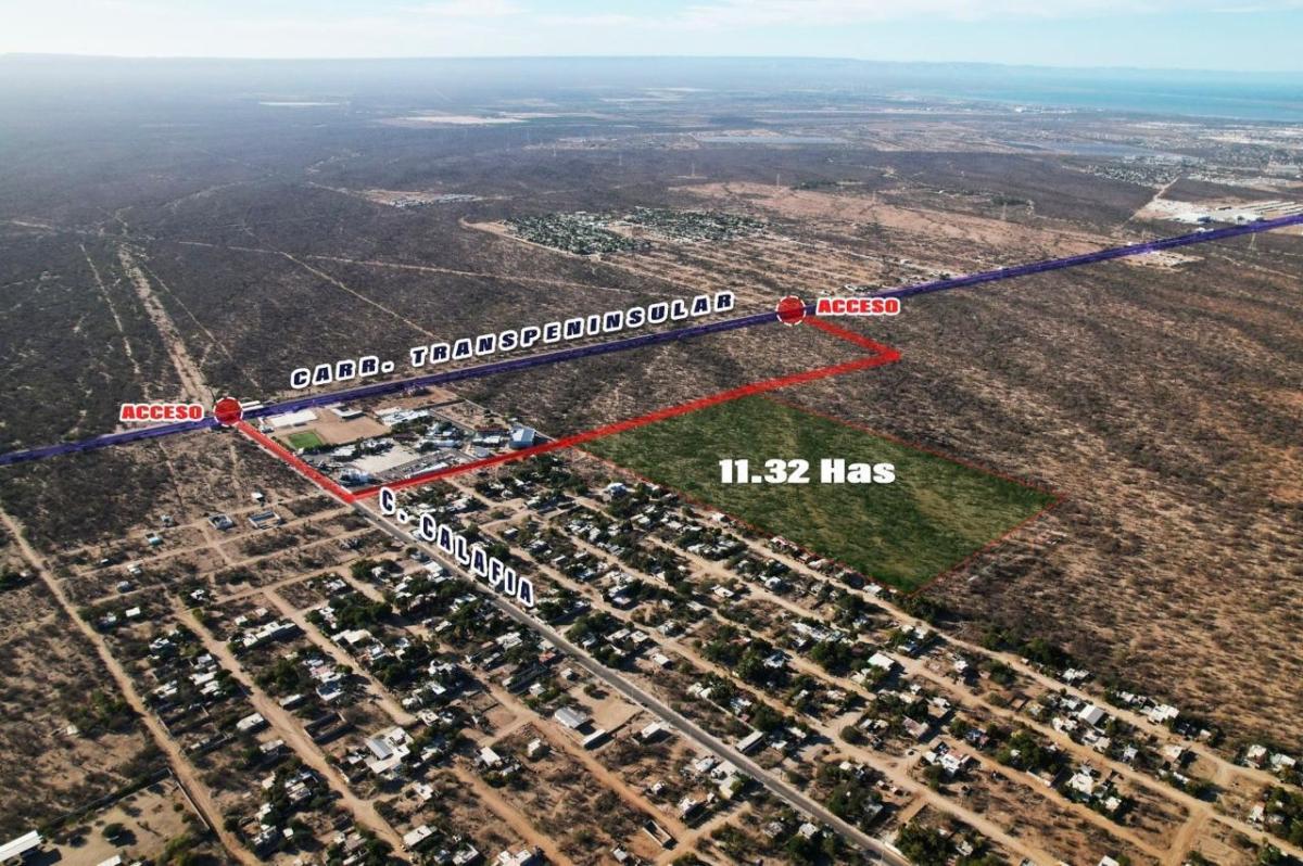 MLS #26-1215 image #0