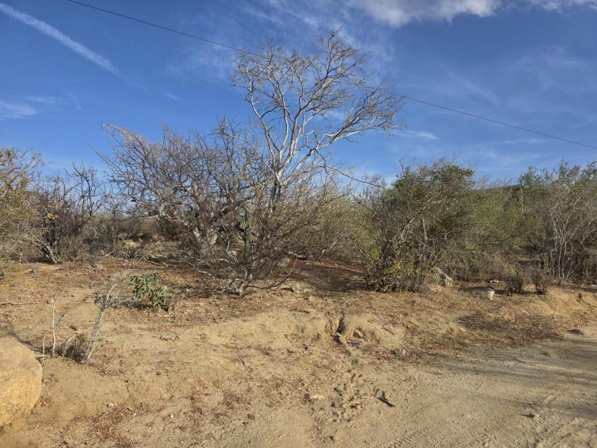 MLS #26-1219 image #0