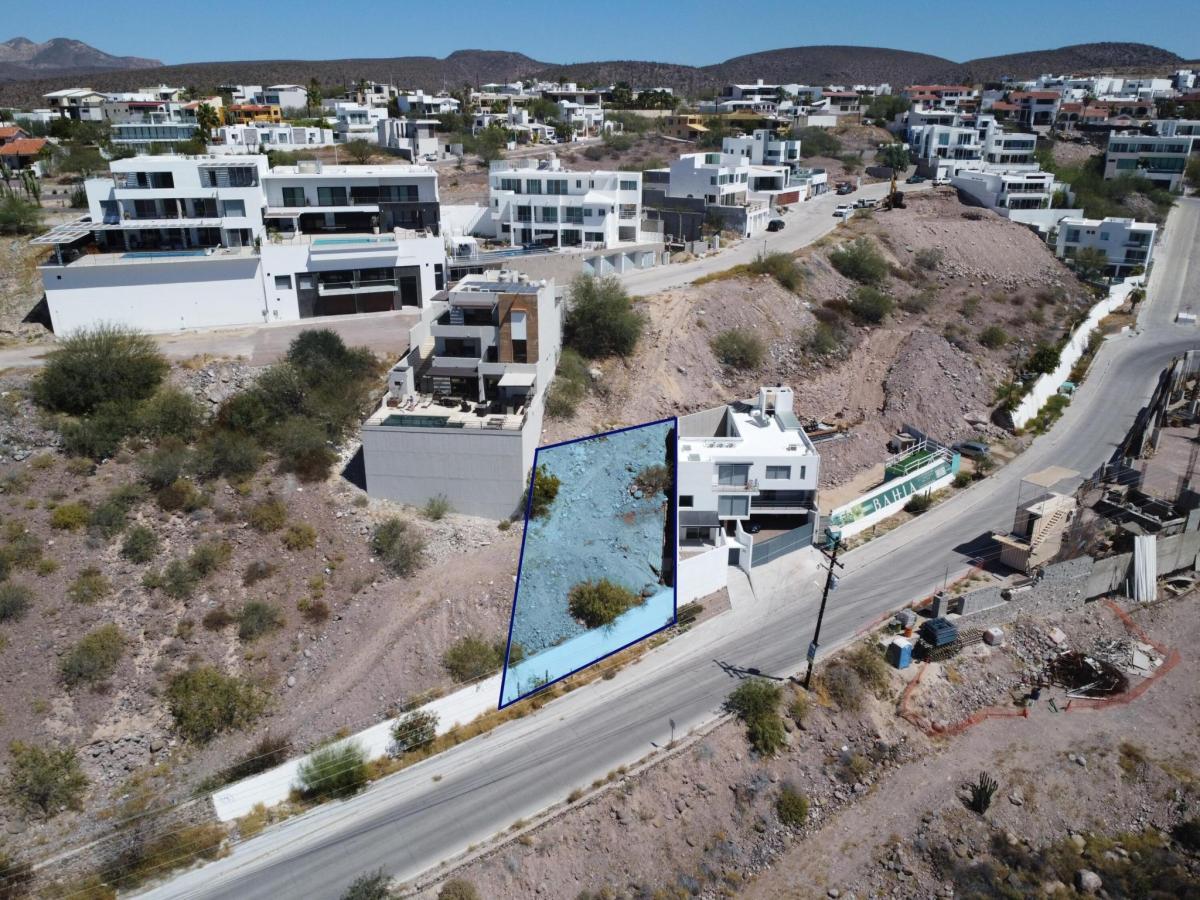 MLS #26-1228 image #0