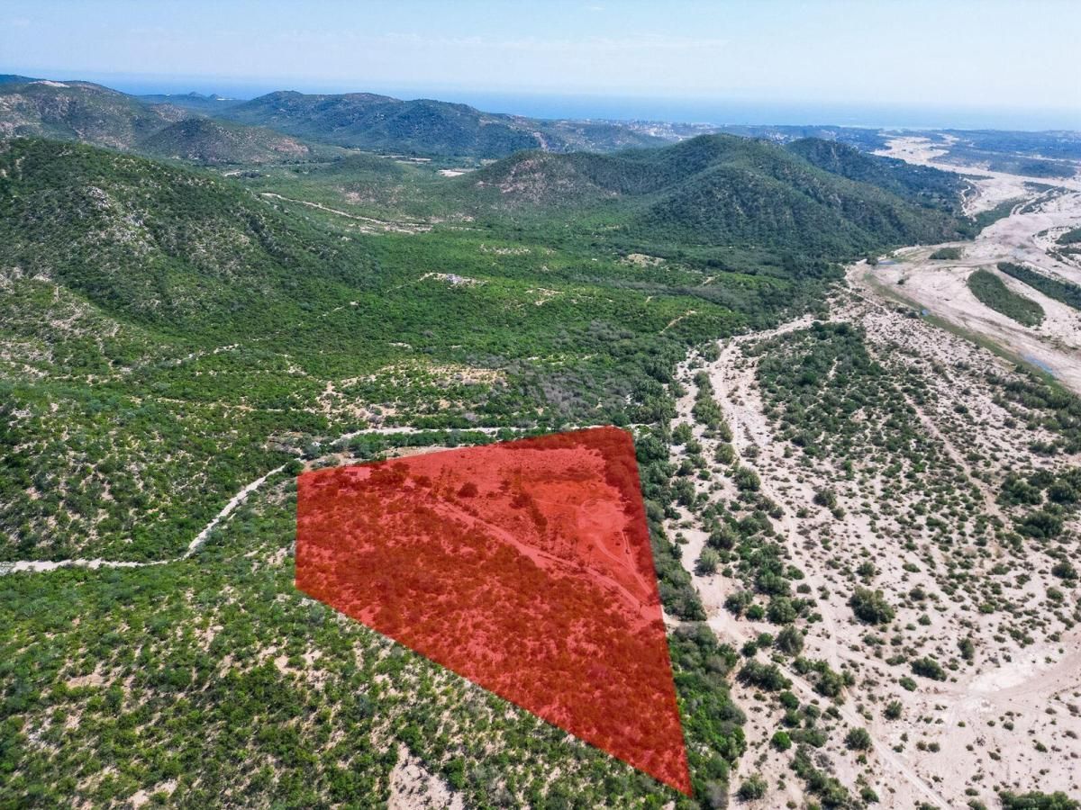 MLS #26-1232 image #0