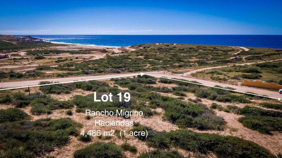 MLS #26-1237 image #0