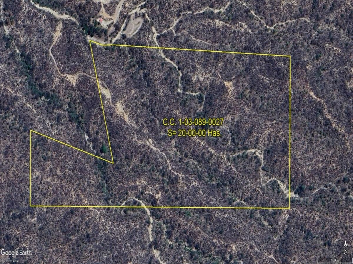 MLS #26-124 image #0