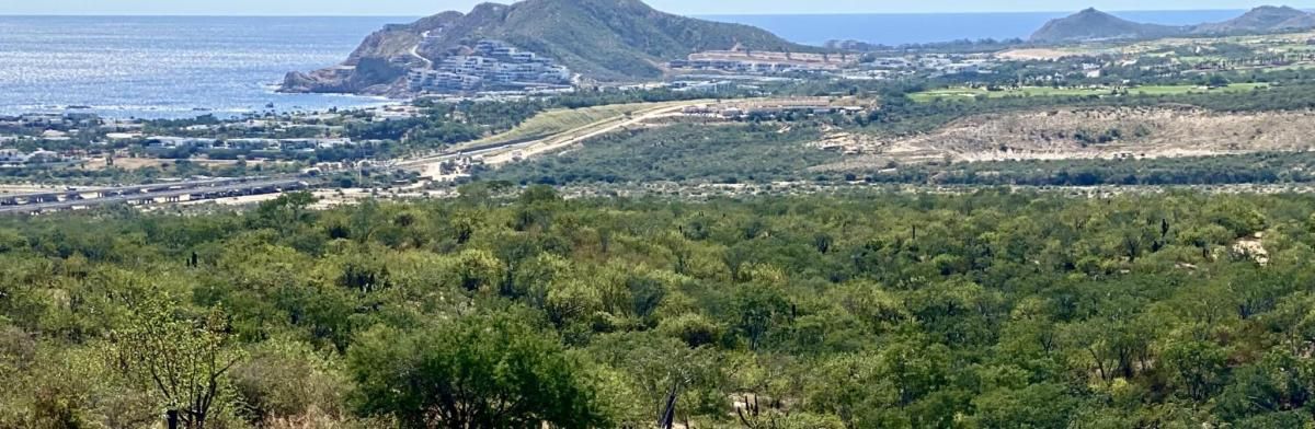 1 Manzana B Calle de Acceso mara-vista-Tule San Jose Corridor BCS MLS #26-125 25 MLS #26-125 image #0