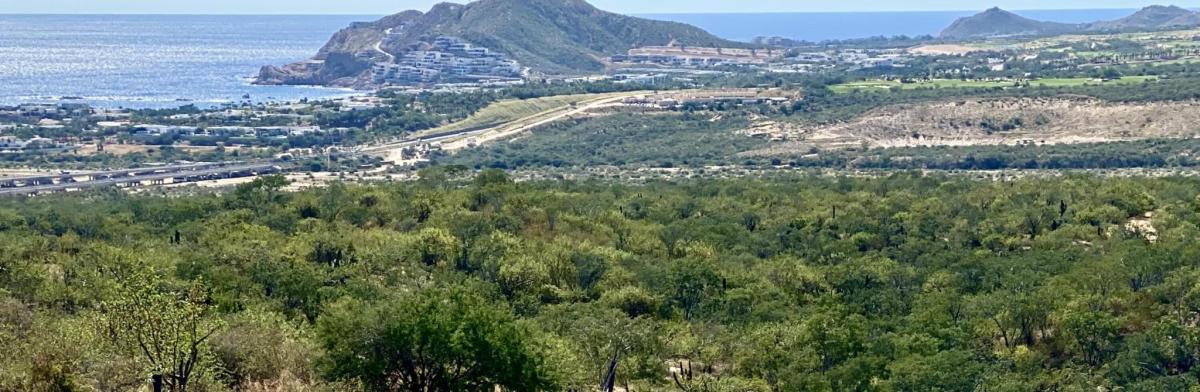 MLS #26-125 image #0